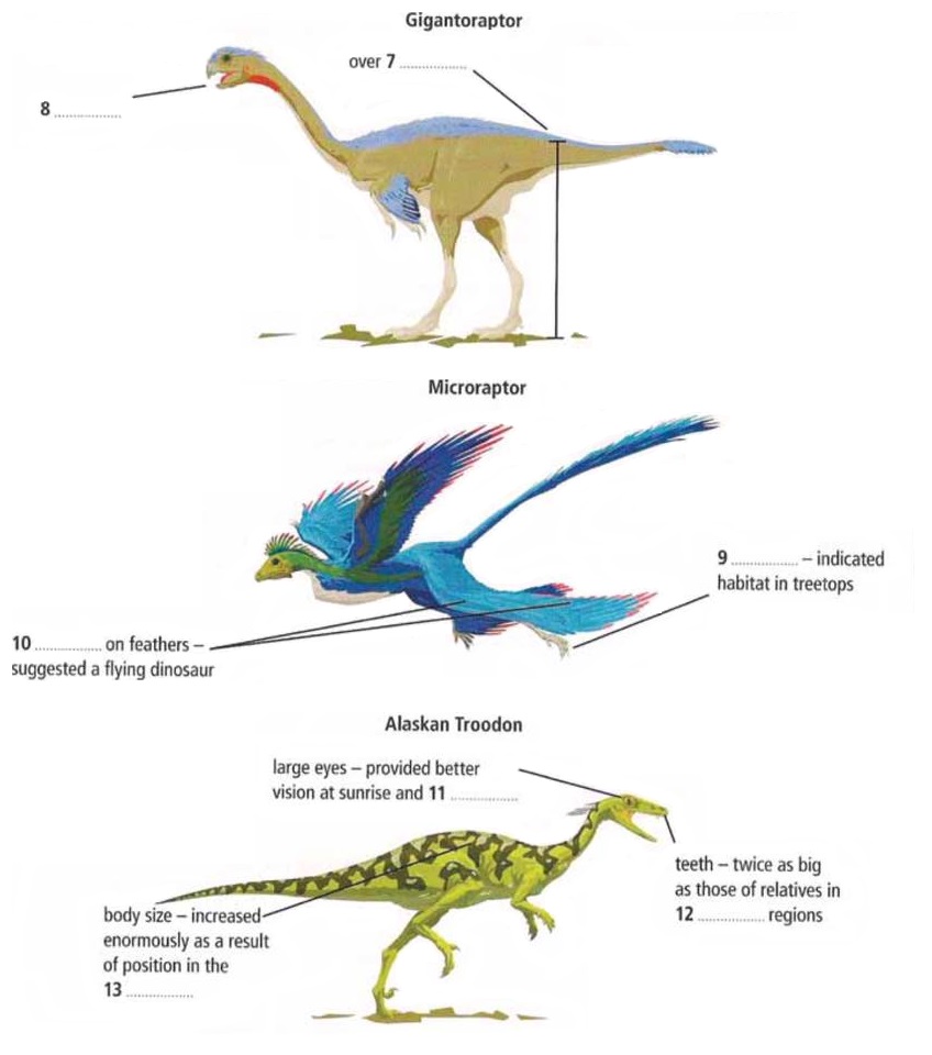 Labels on the diagrams - Dino discoveries