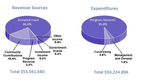 Children's charity in the USA - revenue and expenditure