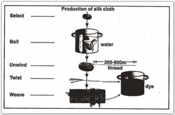 Stages in the production of silk cloth