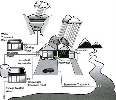 How rainwater is reused for domestic purposes 