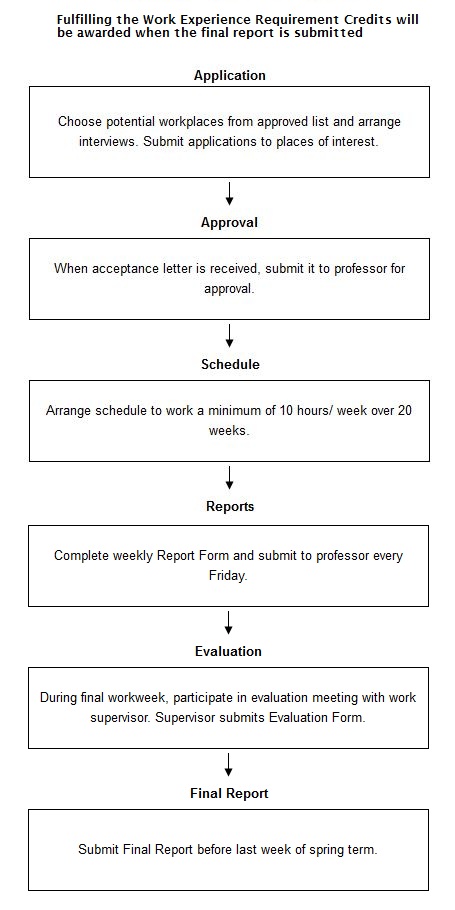 Process in completing work experience for university students