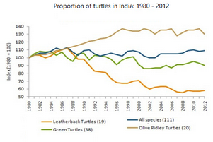 Line Graph - Population of turtles in India from 1980 to 2012