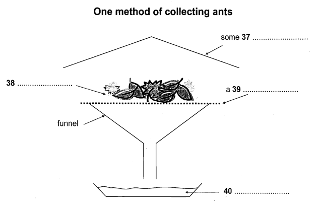 One Method of Collecting Ants