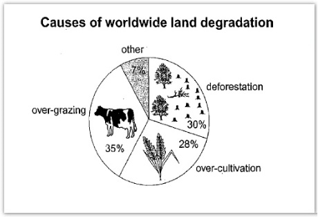 Pie chart - Causes of worldwide land degradation