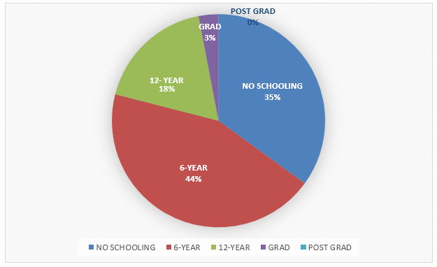 Pie Chart Education