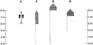 IELTS reading sample 11-picture2 IELTS reading sample 11-picture2