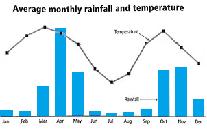 Bar Graph: Average monthly rainfall and temperature