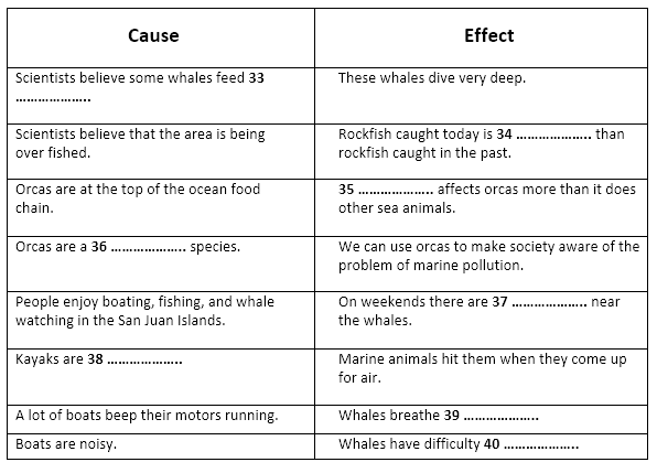 Issues Affecting the Southern Resident Orcas