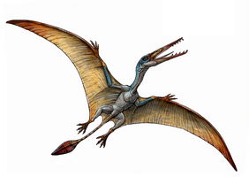 The Pterosaur: a flying reptile that lived during the time of the dinosaur IELTS GT Reading - Pterosaur