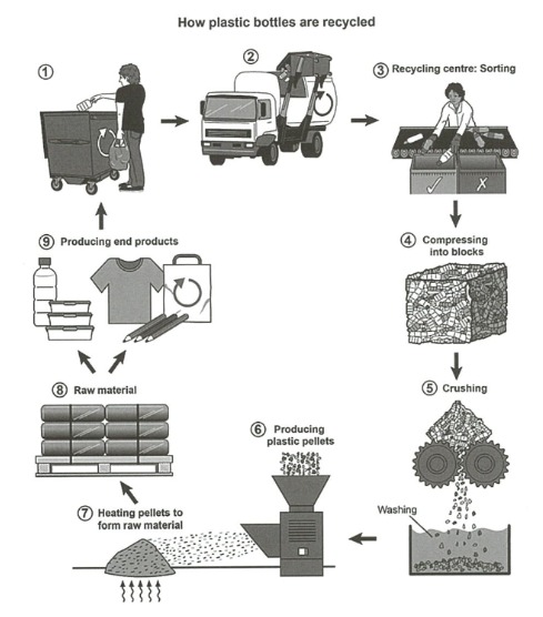 How plastic bottles are recycled
