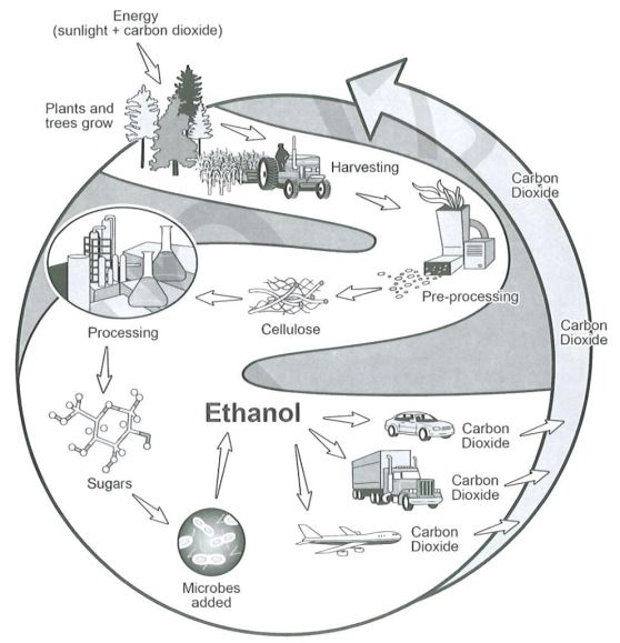 How biofuel ethanol is produced